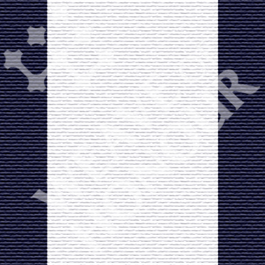 Conspicuous Gallantry Navy EIIR